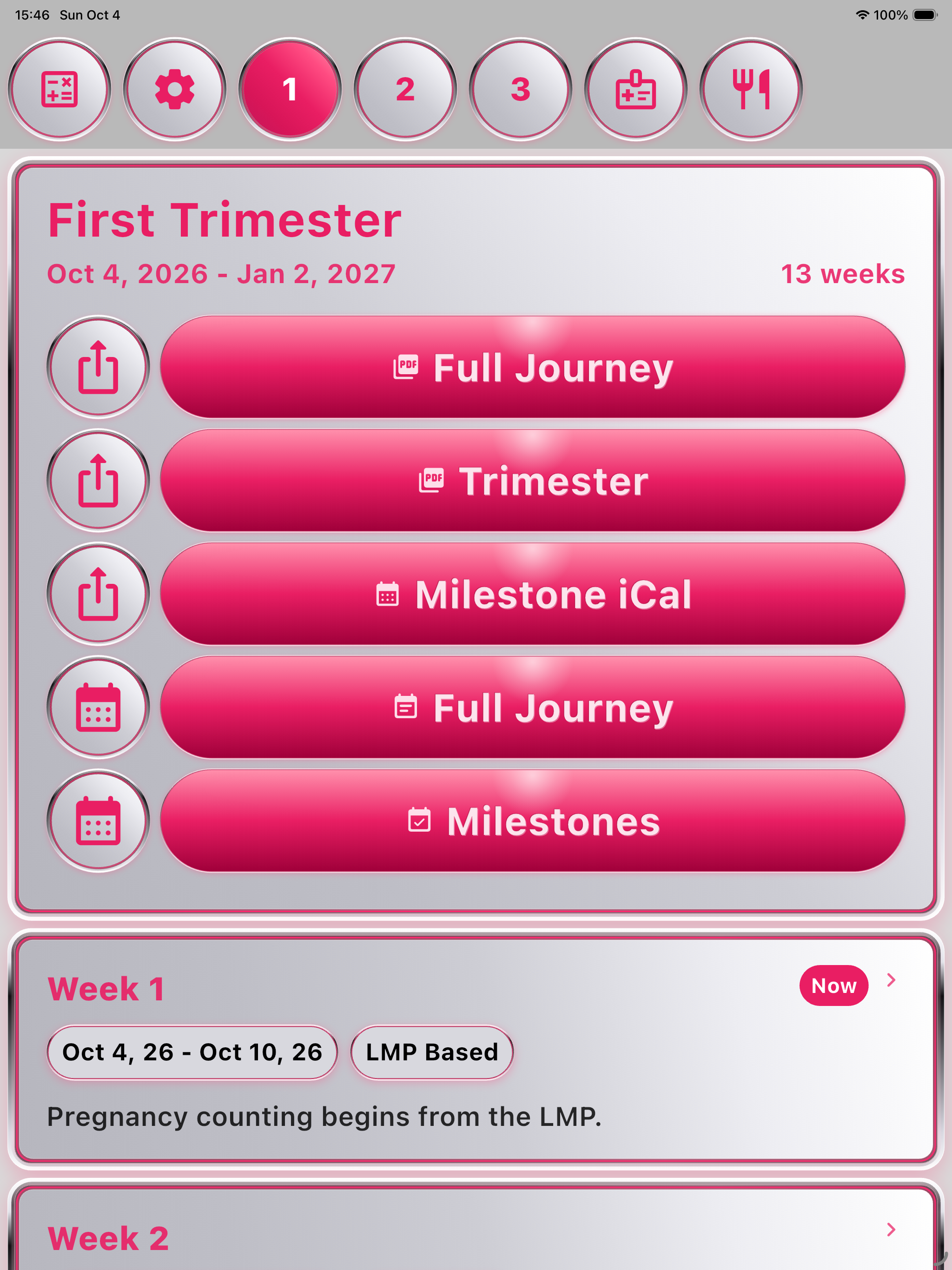Pregnancy Journey on iPad