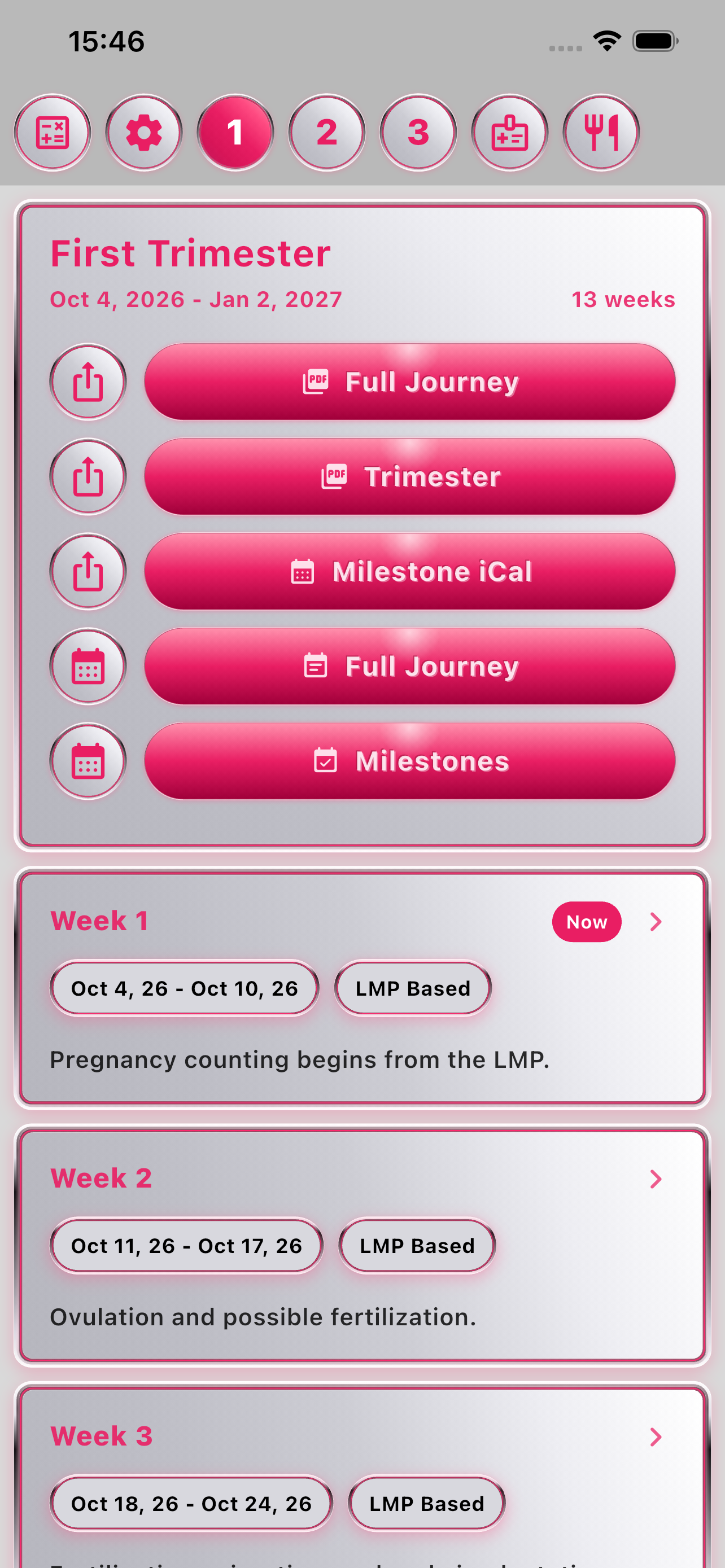 Pregnancy Journey on iPhone
